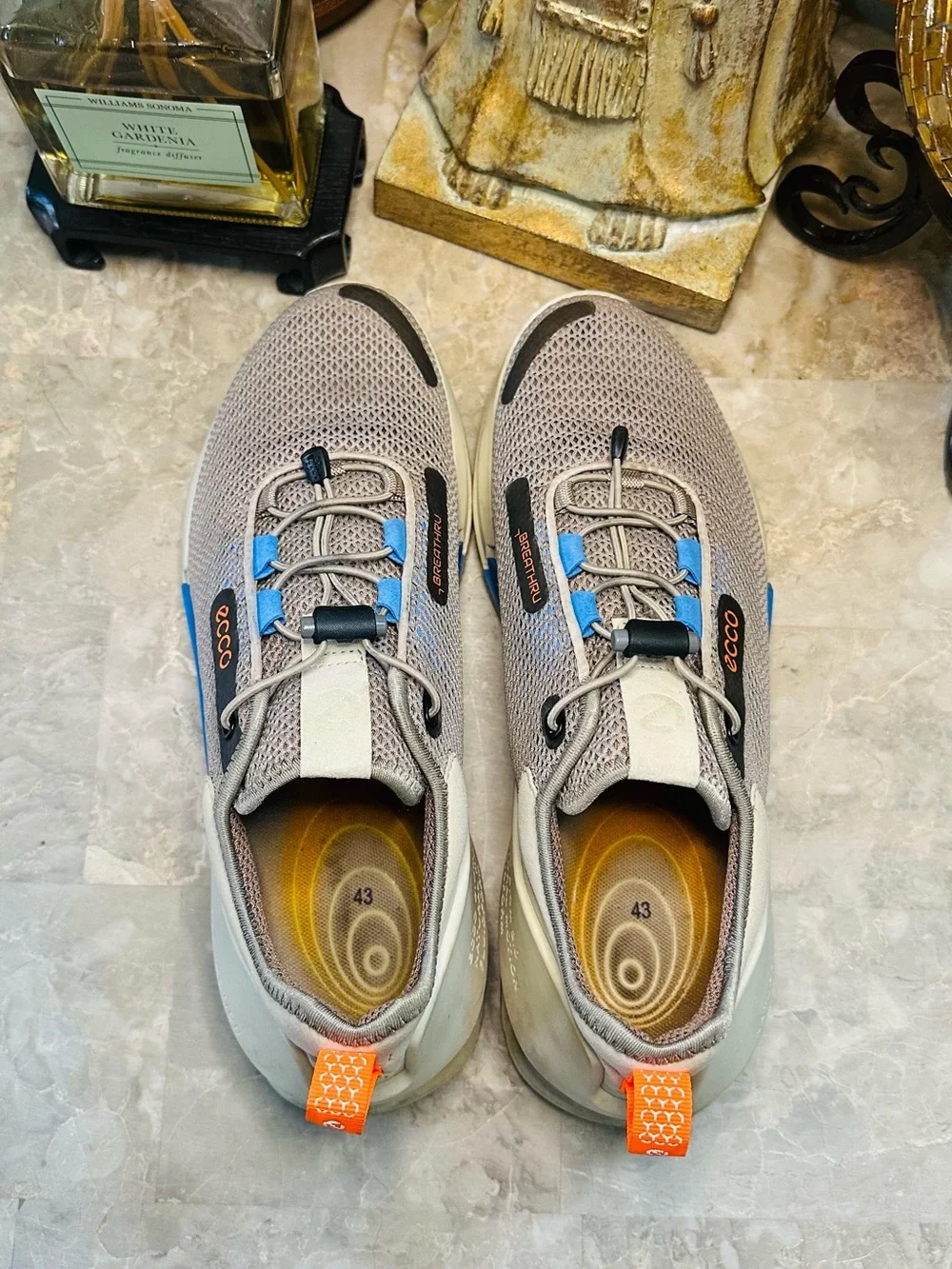 Ecco men’s biom